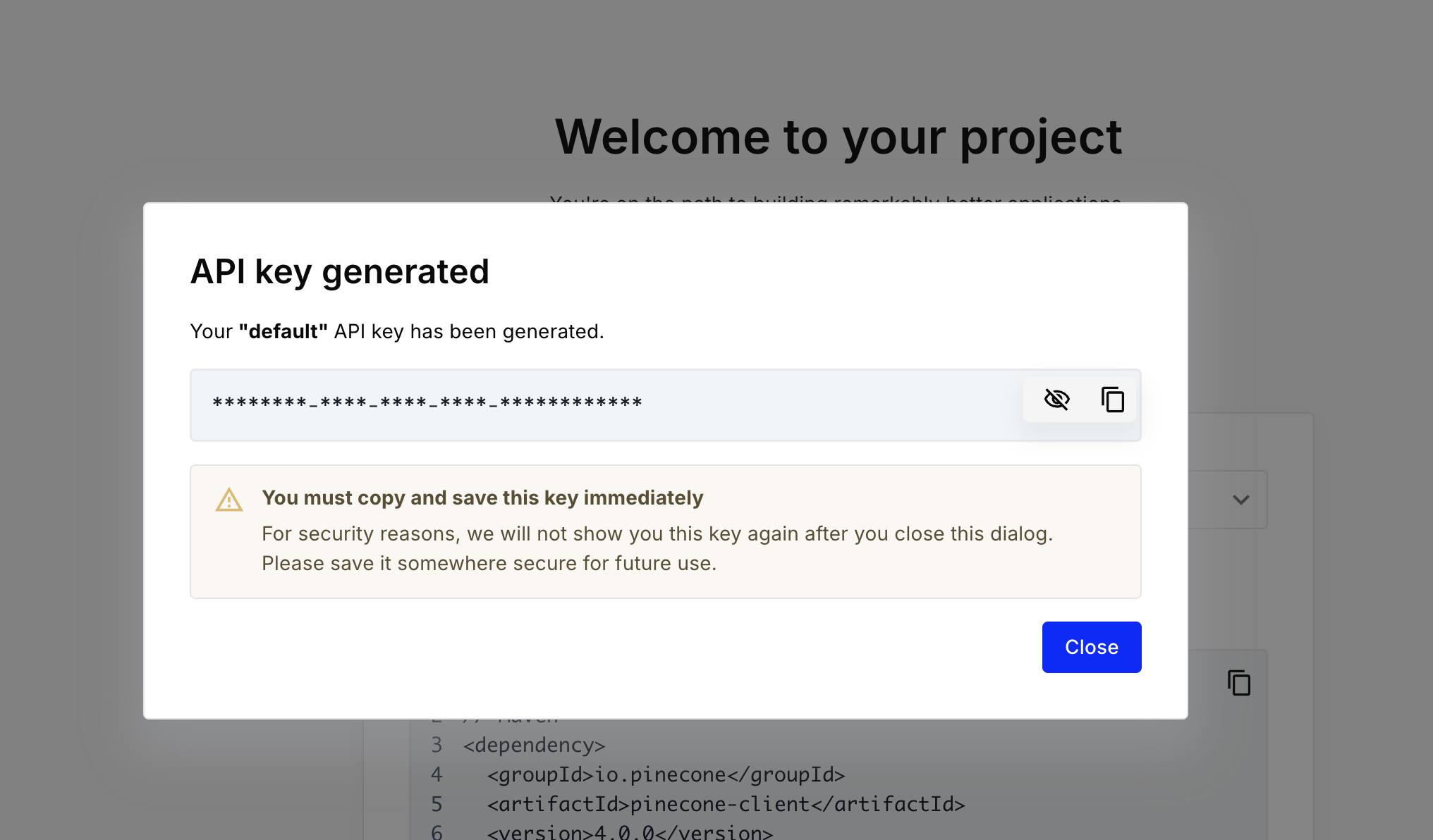 API Key creation from Pinecone Console