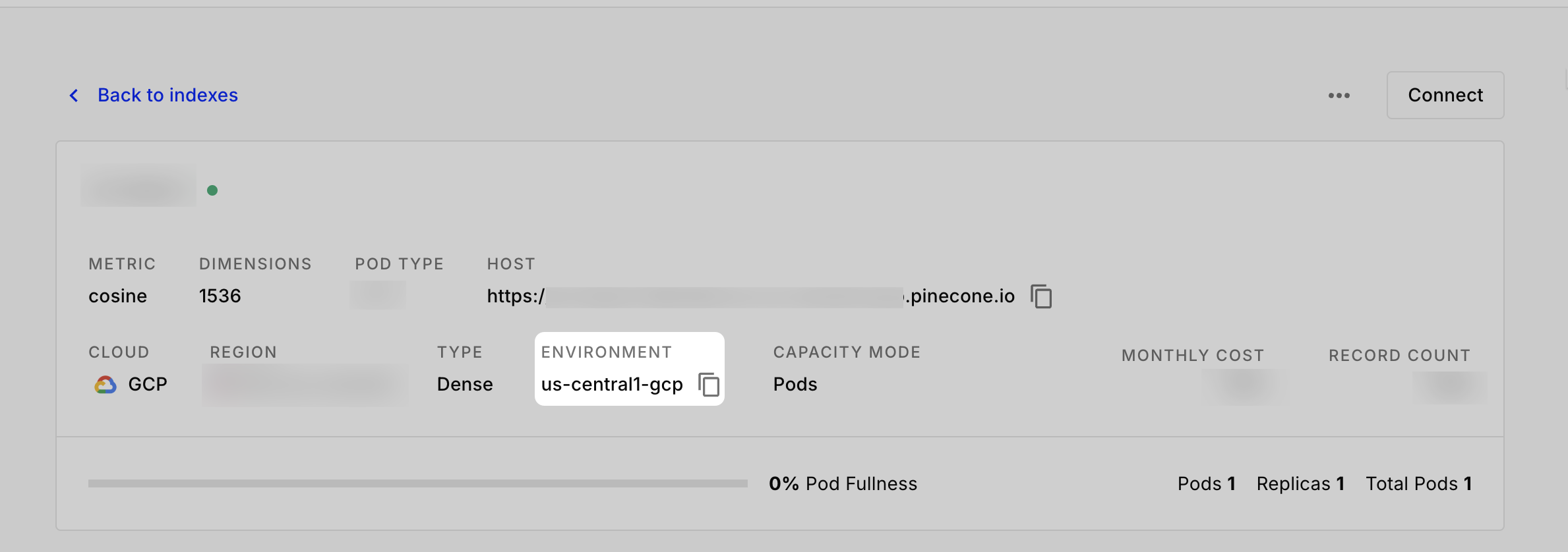 Get environment name from Pinecone console